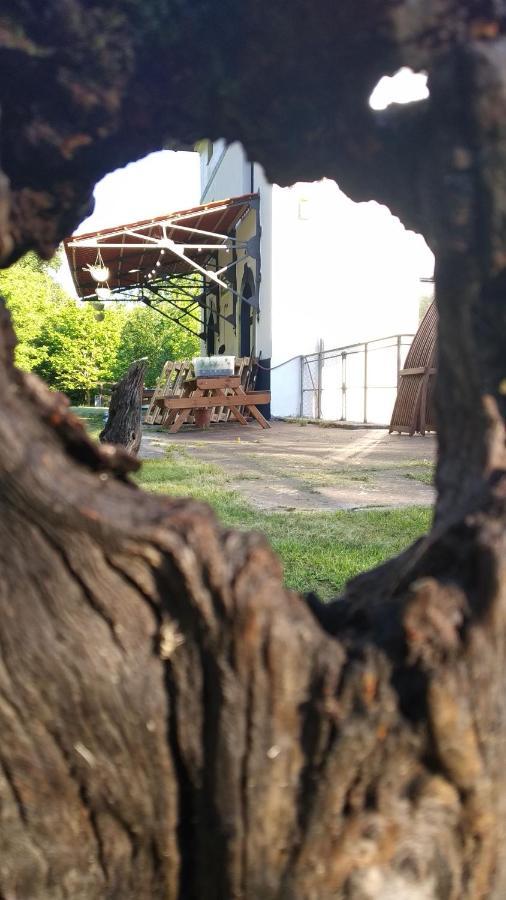 Castro Urdiales - La Vieja Estacion - Cerca De Bilbaoゲストハウス エクステリア 写真